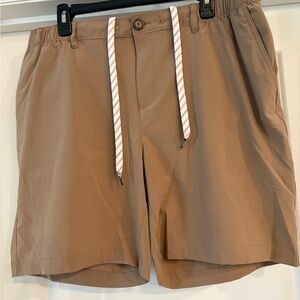 Chubbies Men's Brown Flat Front Shorts
